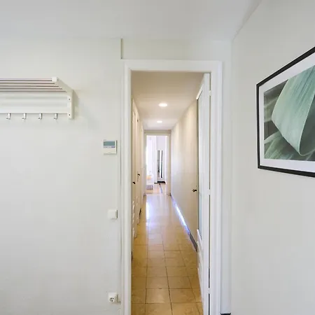 63par1016- Sunny In Paralel Apartment *